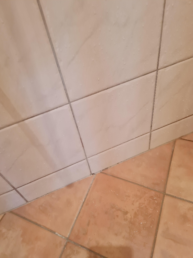 Fornye / freshe opp fuger i dusjkabinett