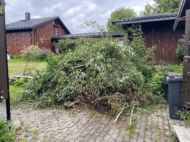 Bortkjøring av kvister og greiner