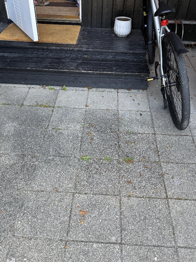 Luking og enkel hageoppfriskning