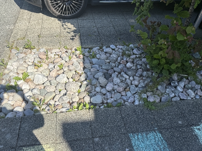 Luking og enkel hageoppfriskning