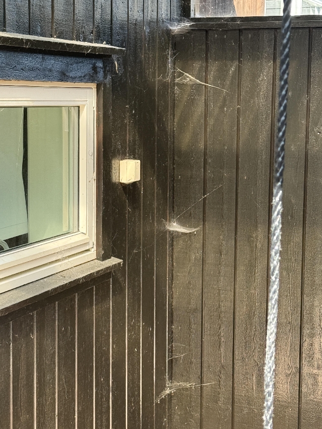 Fasadevask av bakside av rekkehus og overbygd terrasse