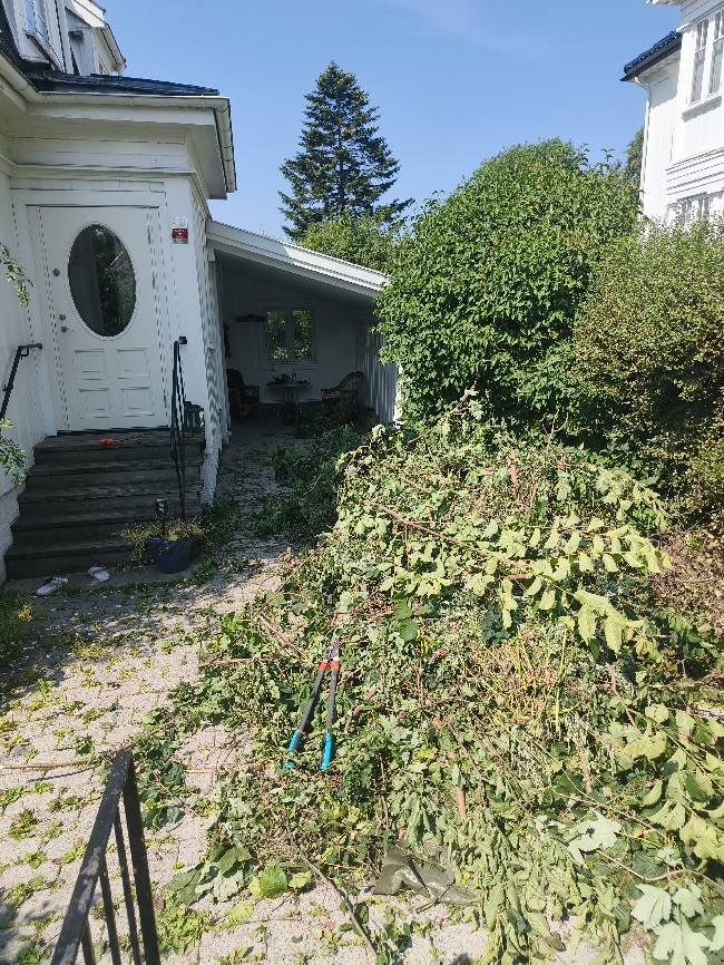 Bortkjøring av hageavfall, kvister