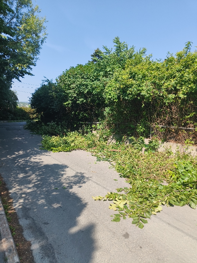 Bortkjøring av hageavfall, kvister