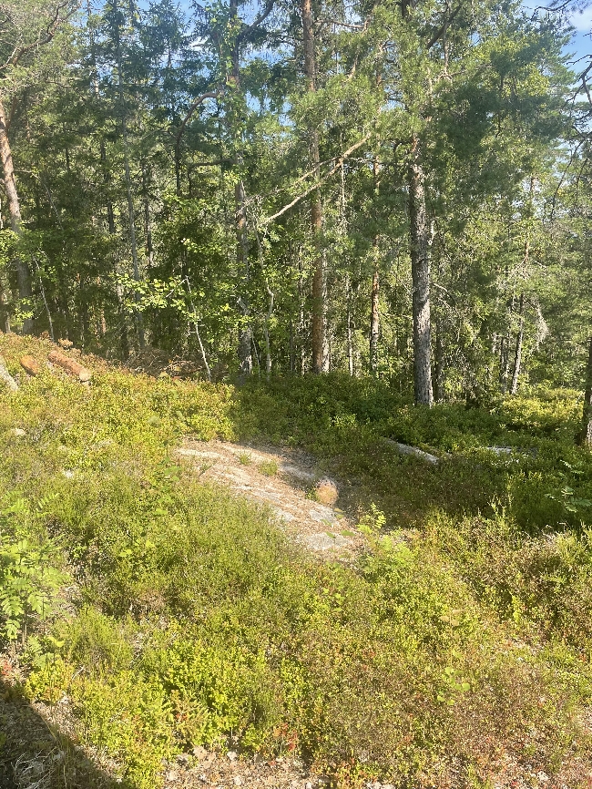 Støpe fundament, bære opp anneks og montere