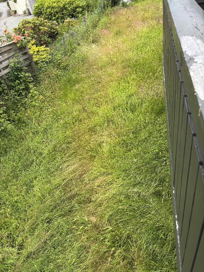 Plenklipping