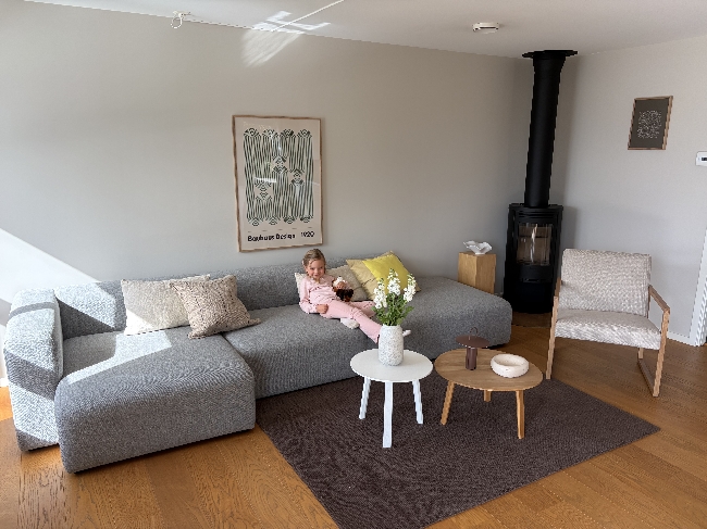 Flyttehjelp ønskes