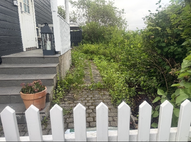 Sette opp levegg og bygge terrasse