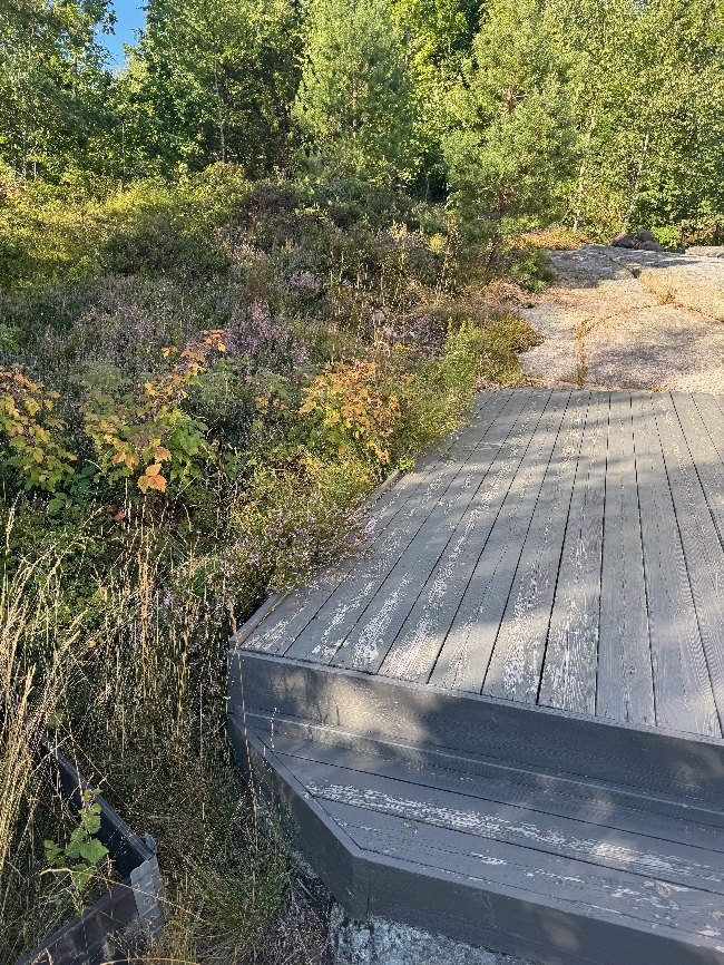 Fjerning av torv + litt annet hagearbeid