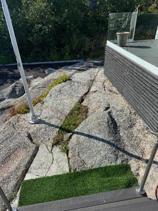 Fjerning av torv + litt annet hagearbeid