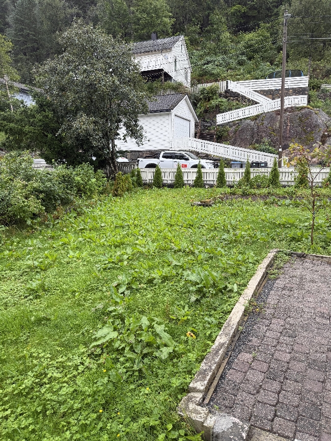 Fjerning av ugress og busker, samt klipping av gress