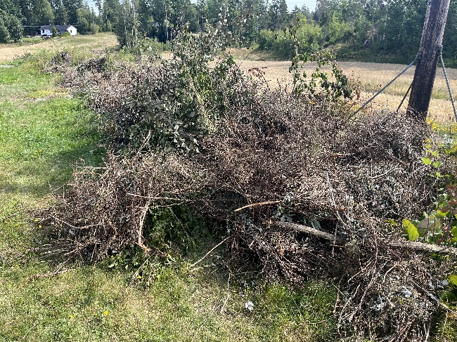 Fjerne hage avfall