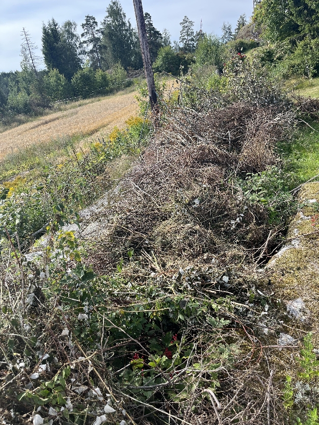 Fjerne hage avfall
