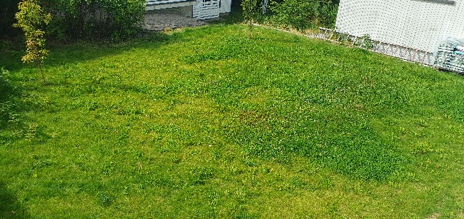 Trenger en gravehjelp i hagen – Hauketo, Oslo