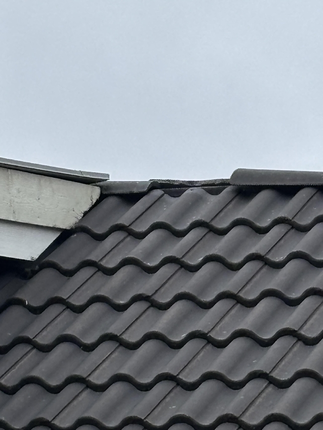 Reparasjon av panelvegg og takstein