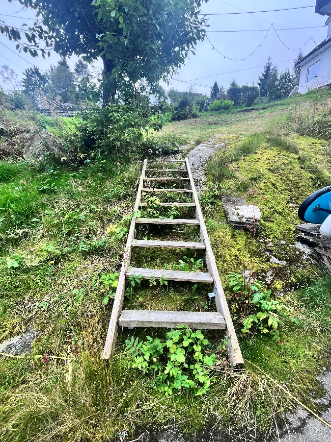Bygging av takoverbygg or rekkverk samt utbedring av utettrapp