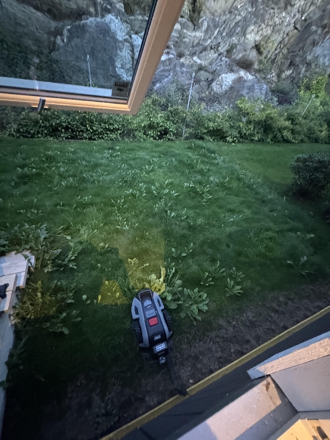 Gressklipping i liten hage