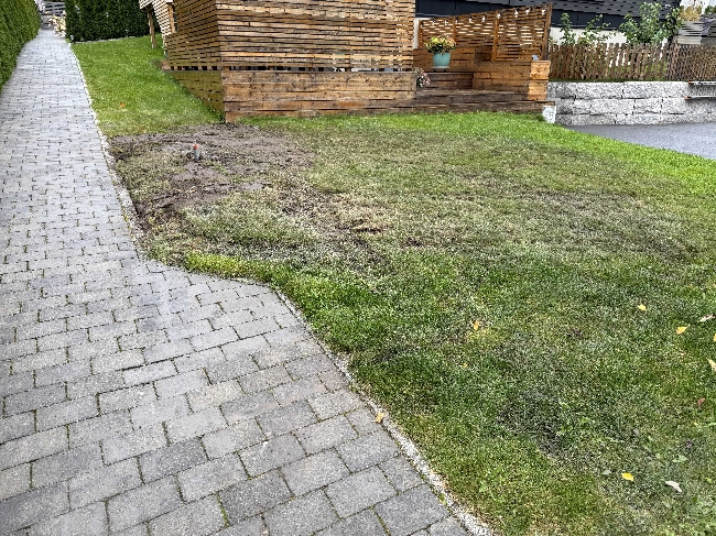 Utbedring av plenområde og justering av noen belegningssteiner