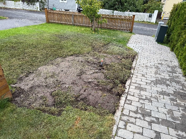 Utbedring av plenområde og justering av noen belegningssteiner