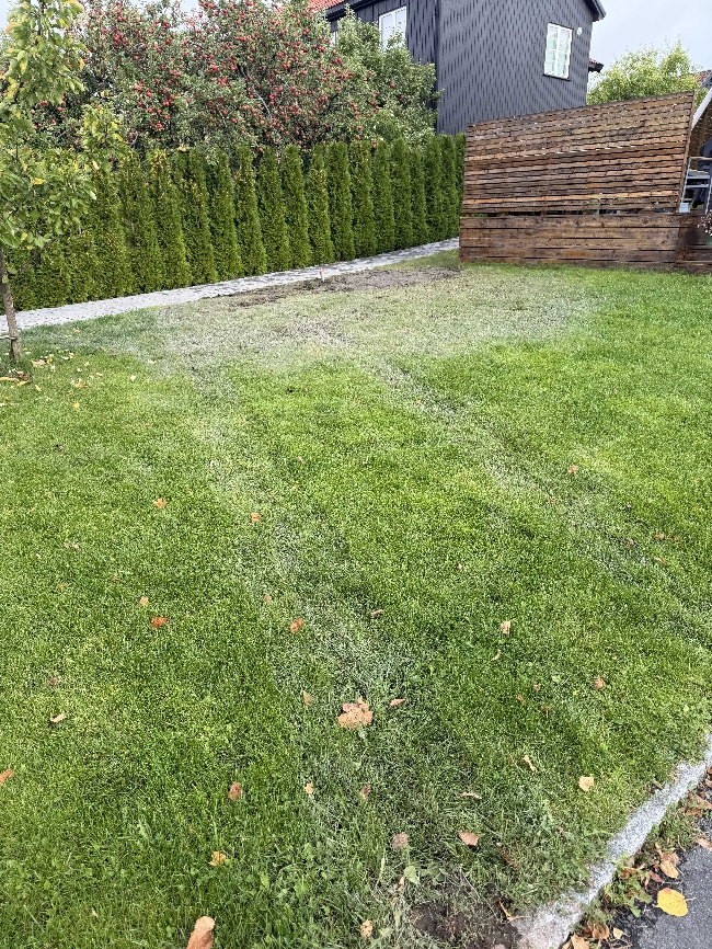 Utbedring av plenområde og justering av noen belegningssteiner