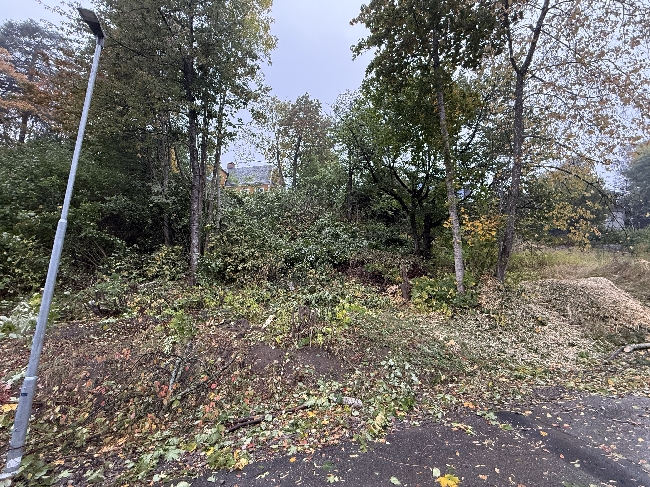 Rydde og sjaue på tomt - flishugge